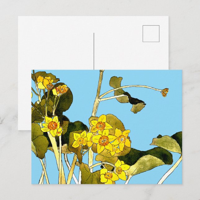 Postal Mariposas de Art Nouveau (Anverso / Reverso)