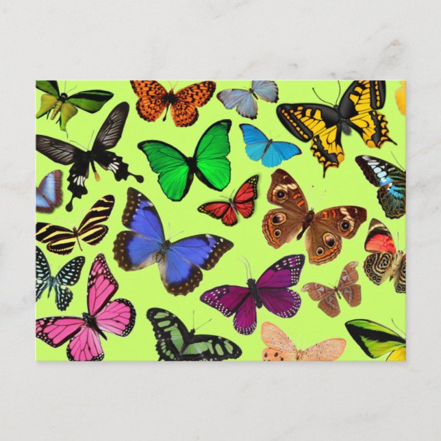 Postal Mariposas de colores (Anverso)
