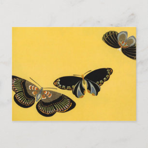 Postal Mariposas de época