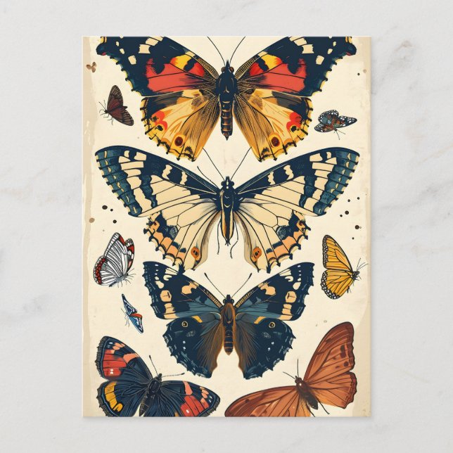 Postal Mariposas de época (Anverso)