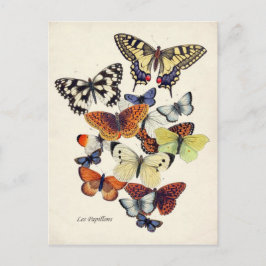 Postal Mariposas de época