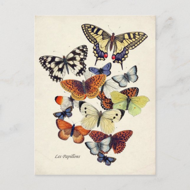 Postal Mariposas de época (Anverso)