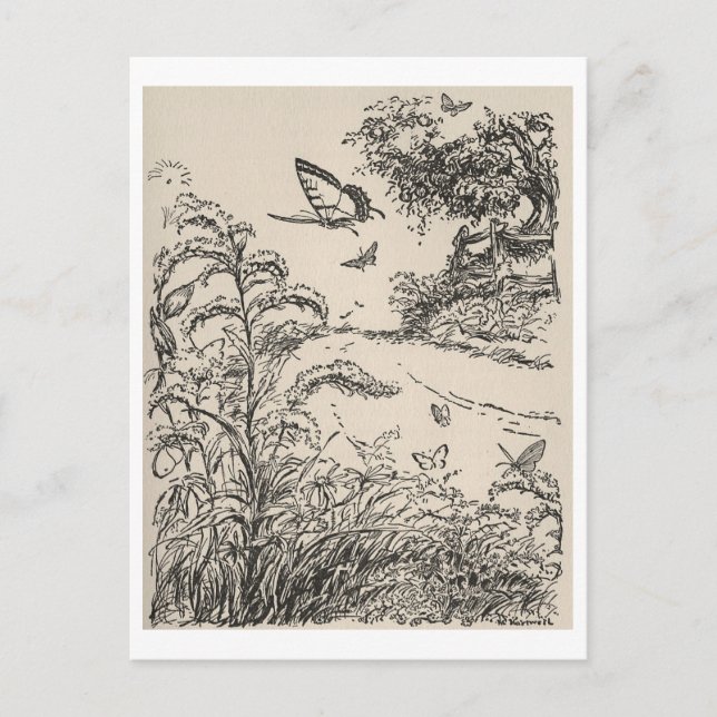 Postal Mariposas de Ilustracion de libros para niños de é (Anverso)