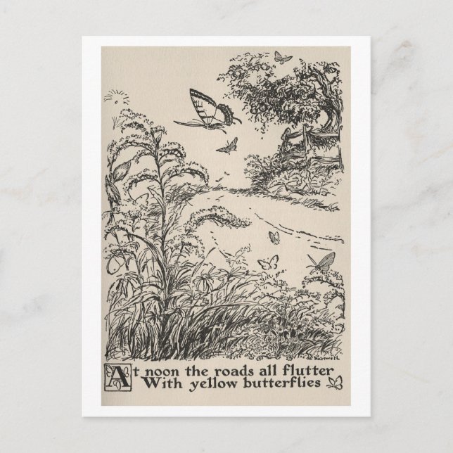 Postal Mariposas de Ilustracion de libros para niños de é (Anverso)
