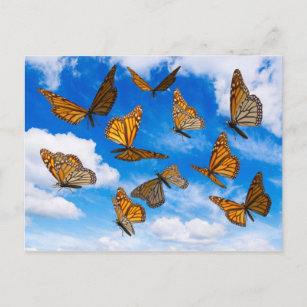 Postal Mariposas de monarca en el cielo