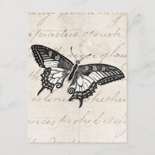 Postal Mariposas del Ilustracion de Mariposa Vintage del