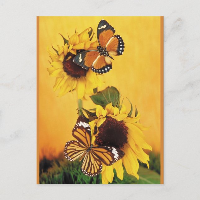 Postal Mariposas del Verano 1 (Anverso)