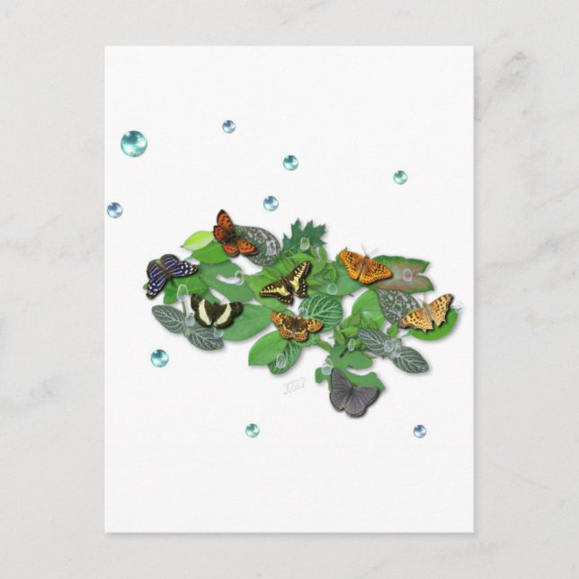 Postal Mariposas en hojas (Anverso)