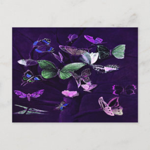 Postal Mariposas En Púrpura