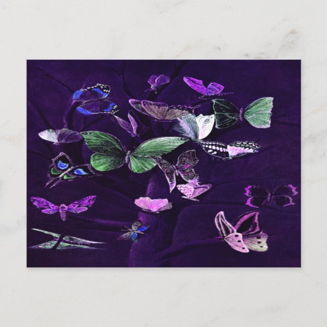 Postal Mariposas En Púrpura (Anverso)