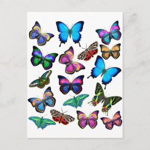 Postal Mariposas Fluyendo Por Postcard
