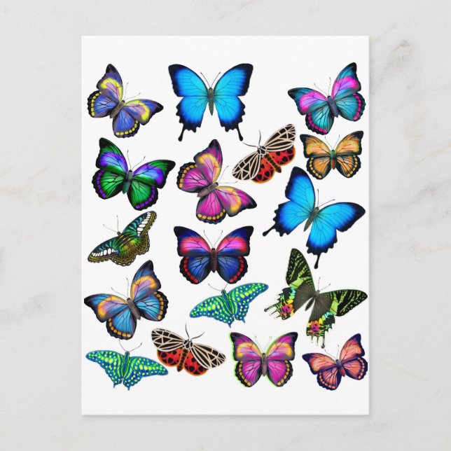 Postal Mariposas Fluyendo Por Postcard (Anverso)