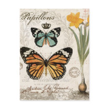 Mariposas francesas antiguas modernas