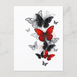 Postal Mariposas Morpho voladoras negras y rojas