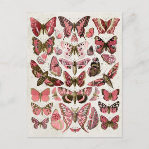 Postal Mariposas rosadas antiguas