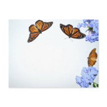 Mariposas Springtime