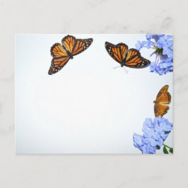 Postal Mariposas Springtime