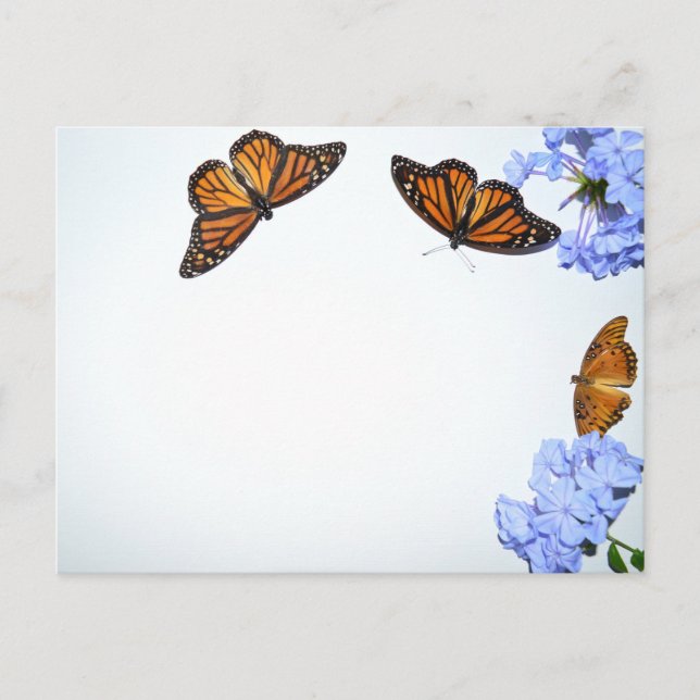 Postal Mariposas Springtime (Anverso)