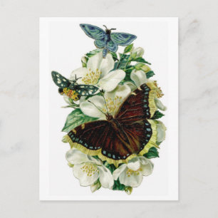 Postal Mariposas y flores de época