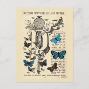Postal Mariposas y mariposas azules británicas