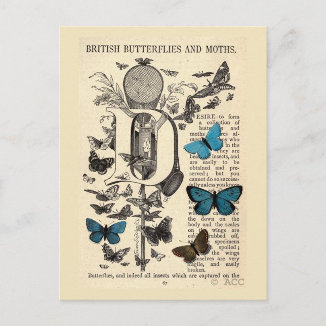 Postal Mariposas y mariposas azules británicas (Anverso)