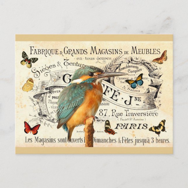 Postal Mariposas y pájaro pescador de época en anuncio fr (Anverso)