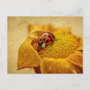 Postal Mariquita en flor amarilla