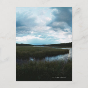 Postal Mariscos de sal