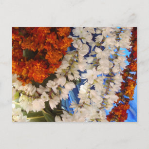 Postal Marismas de flores indias