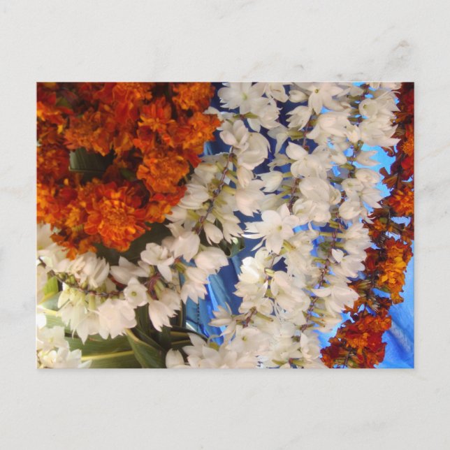 Postal Marismas de flores indias (Anverso)
