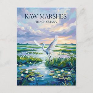 Postal Marismas de Kaw Guayana Francesa