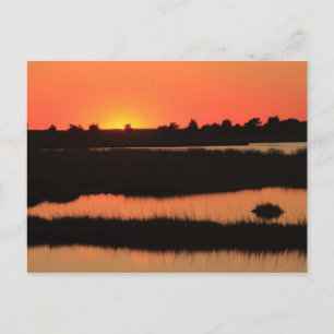 Postal Marismas de South Cape Beach en Sunset Mashpee Cap
