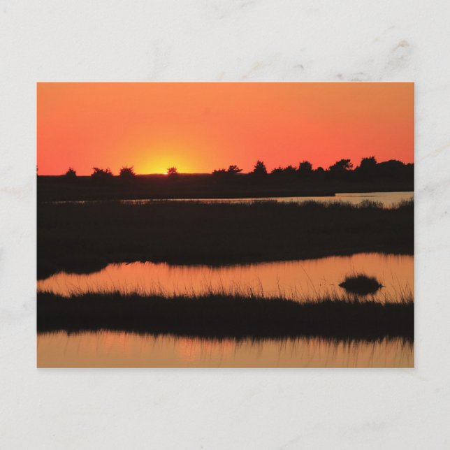 Postal Marismas de South Cape Beach en Sunset Mashpee Cap (Anverso)