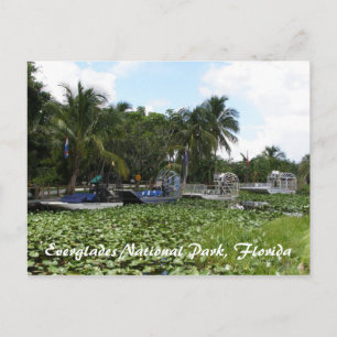 Postal Marismas parque nacional, la Florida