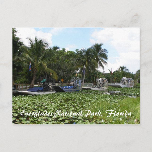 Postal Marismas parque nacional, la Florida (Anverso)