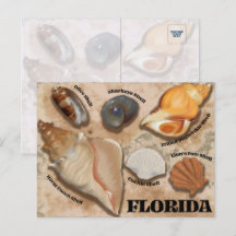 Postal marítima de Florida