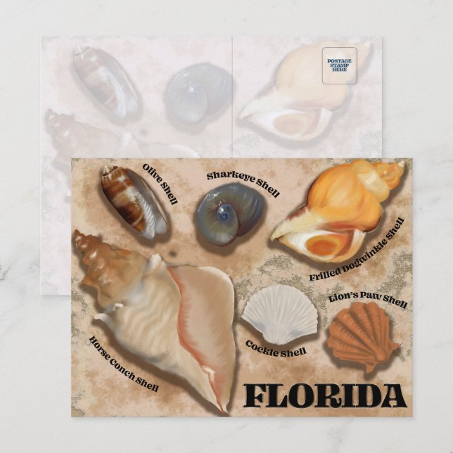 Postal marítima de Florida (Anverso / Reverso)