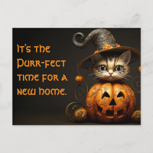 Postal Marketing de Halloween Cat Real Estate