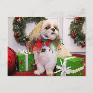 Postal Marley - Shih Tzu - Robbins