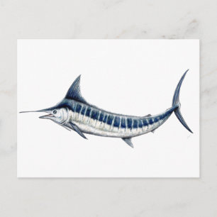 Postal Marlin azul-redbubble