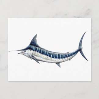 Postal Marlin azul-redbubble