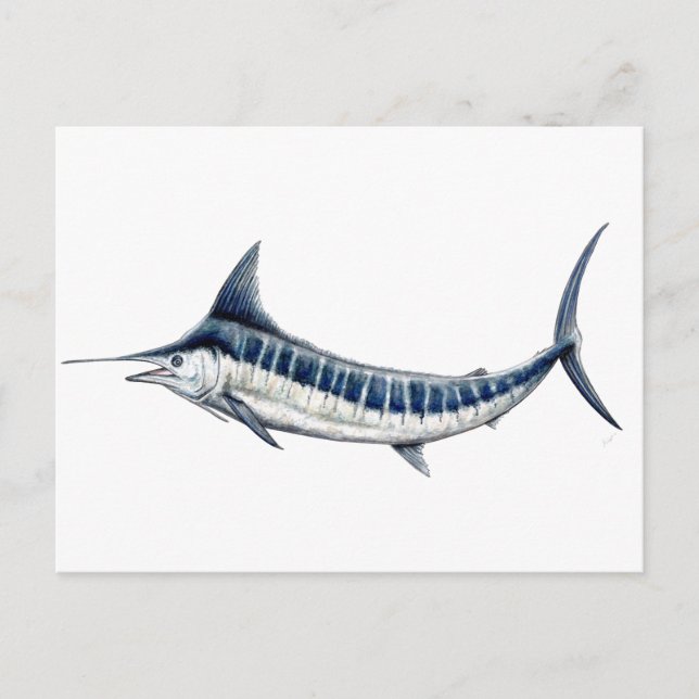 Postal Marlin azul-redbubble (Anverso)