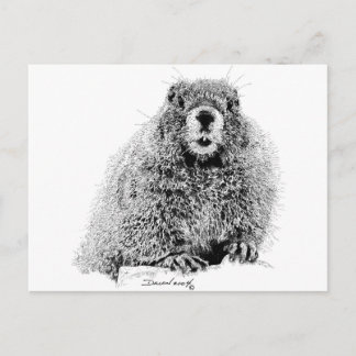 Postal Marmot