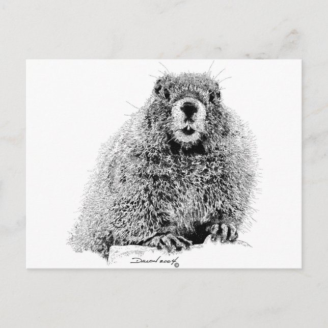 Postal Marmot (Anverso)