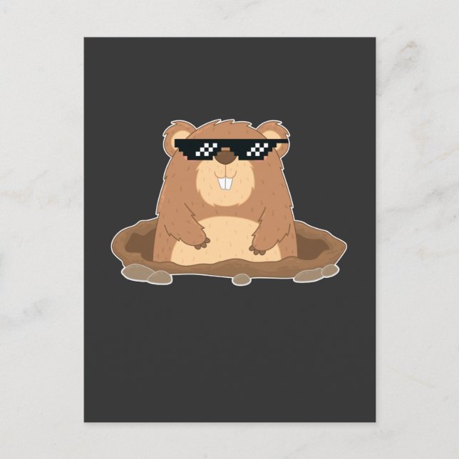 Postal Marmota Divertida con Gafas de Sol Humor (Anverso)