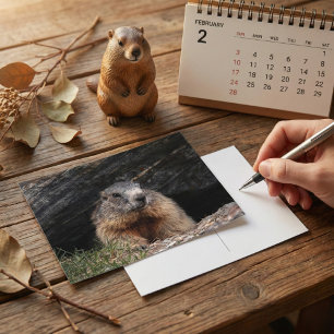 Postal Marmota realista asomándose desde una cueva rocosa