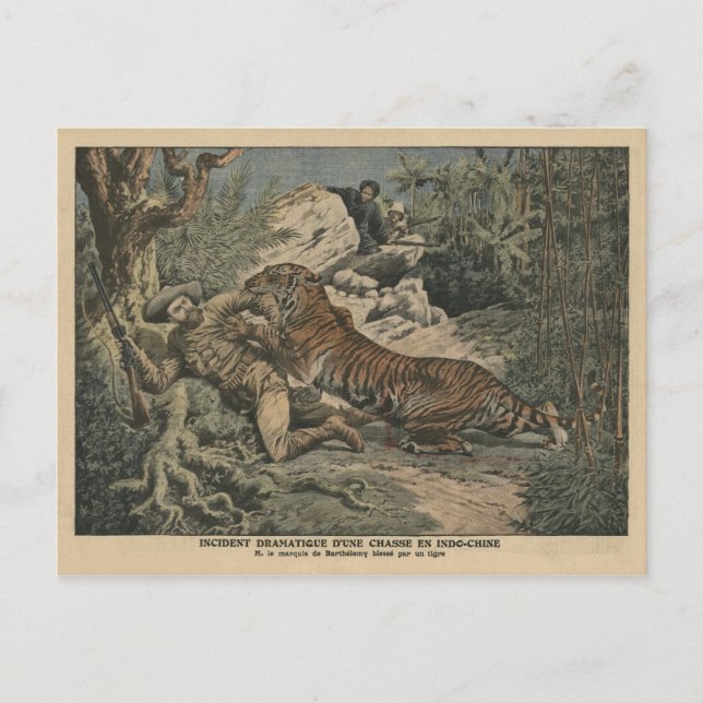 Postal Marqués de Barthelemy herido por un tigre (Anverso)