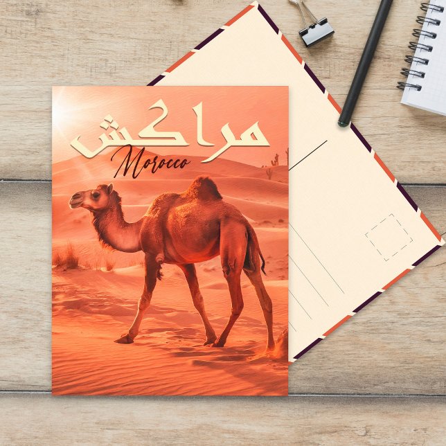 Postal Marrakech Marruecos Vintage camello Souvenirs (Subido por el creador)
