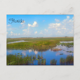 Postal Marsh de Florida