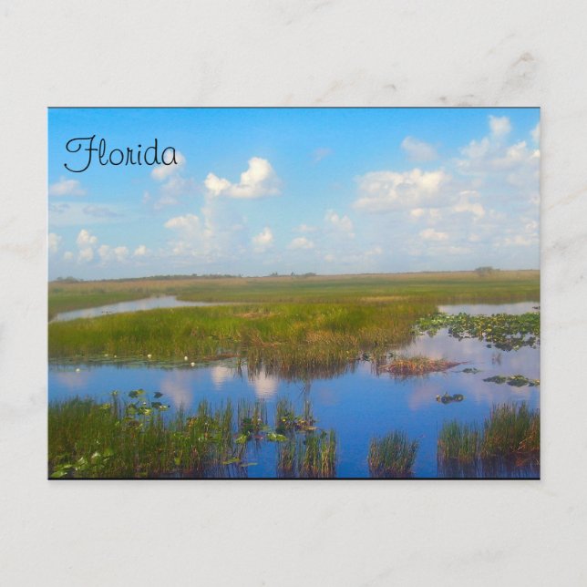 Postal Marsh de Florida (Anverso)